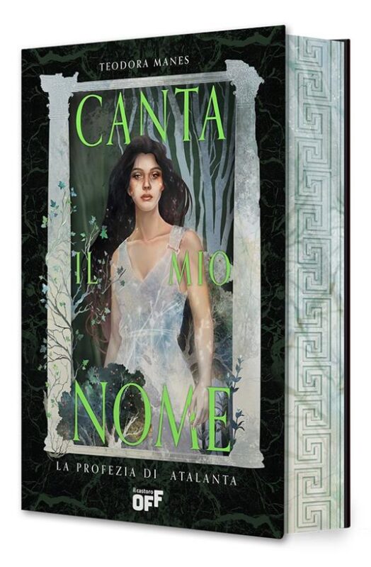 victoria store cinema victoria libro gadget