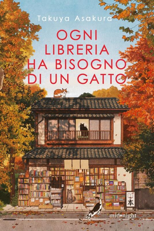 victoria store cinema victoria libro gadget